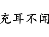 充耳不闻打一字,一字成语背后的智慧与趣味”