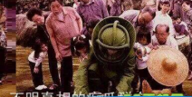 娱乐吃瓜群众2,揭秘娱乐圈背后的秘密与八卦