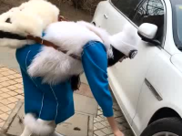 小姐姐的车被垃圾桶卡住,小姐姐车辆被困街头
