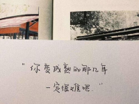 伤感文案配图片,伤感文案与情感共鸣的视觉之旅”