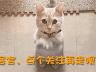 偷税、、离婚个个大瓜！内娱冷了一个月的场子终于热起来了2024年娱乐圈吃瓜爆料吗