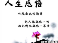 经典句子 人生感悟,感悟人生真谛